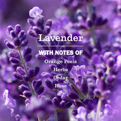 Lavender Multi-Surface Concentrate
