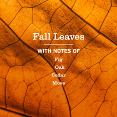 Fall Leaves Plug In Scented Oil Refill, 2-Pack