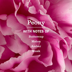 Peony Multi-Surface Concentrate