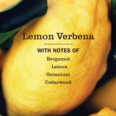 Lemon Verbena Multi-Surface Concentrate