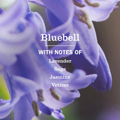 Bluebell Dish Soap