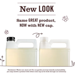 Basil Dish Soap Refill