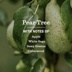 Pear Tree Liquid Hand Soap