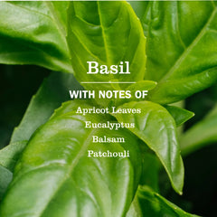 Basil Laundry Detergent