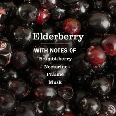 Elderberry Multi-Surface Everyday Cleaner 3-count Bundle