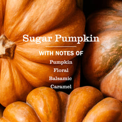 Sugar Pumpkin Plug In Scented Oil Refill, 2-Pack