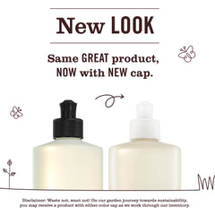 Tomato Vine Kitchen Basics Set