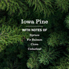 Iowa Pine Liquid Hand Soap & Refill Set