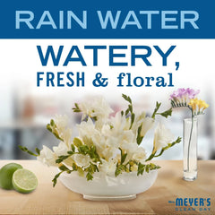 Rain Water Body Wash