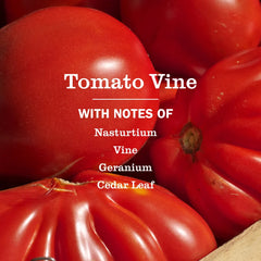 Tomato Vine Multi-Surface Everyday Cleaner