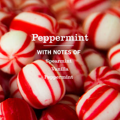 Peppermint Dish Soap 3-count Bundle