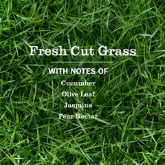 Fresh Cut Grass Liquid Hand Soap 3-count Bundle