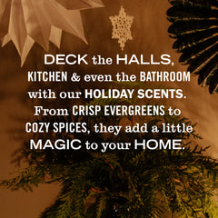 Holiday Seasonal Hand Soap Collection