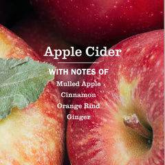 Apple Cider Multi-Surface Everyday Cleaner 3-count Bundle