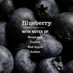 Blueberry Multi-Surface Everyday Cleaner