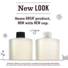 Peony Multi-Surface Concentrate