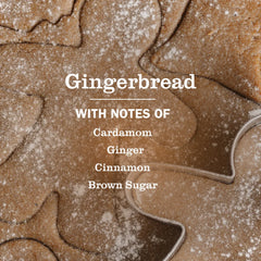 Gingerbread Dish Soap 3-count Bundle